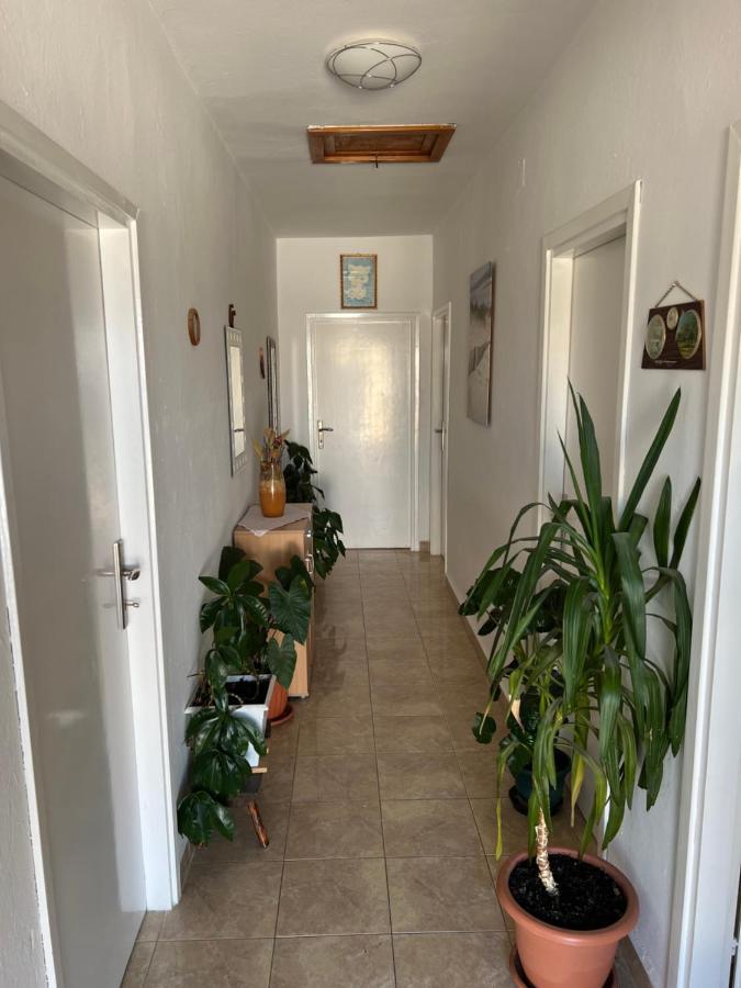 Apartment Ivanka Senj  Dış mekan fotoğraf
